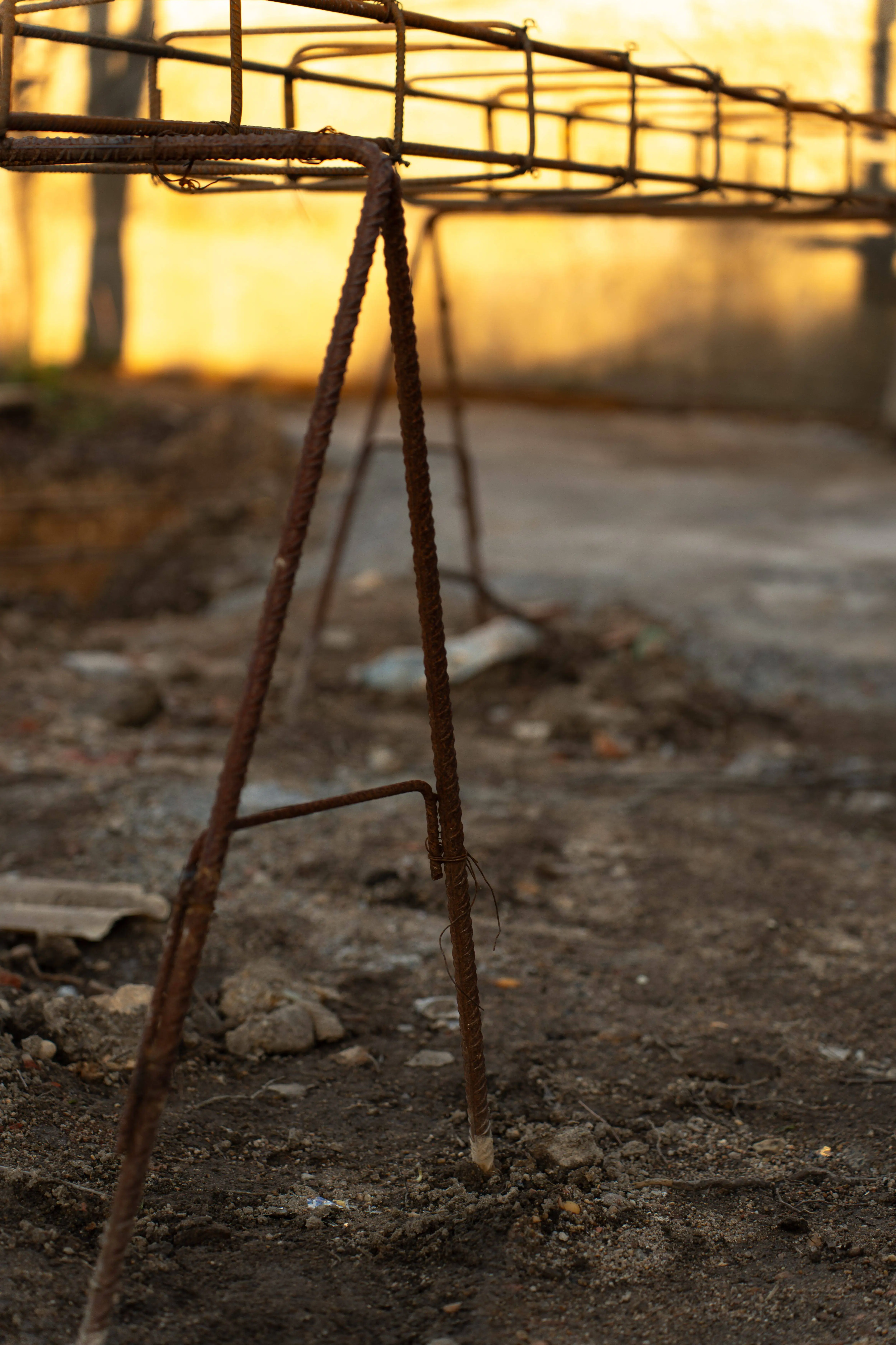 Projeto 1 - Imagem 1